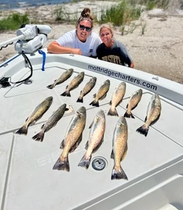 Speckled Trout / Spotted Seatrout fishing in Manteo, North Carolina