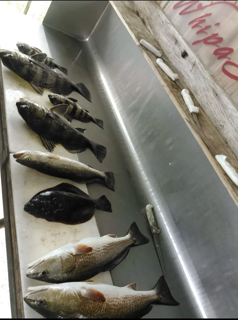 Fishing in D'Iberville, Mississippi