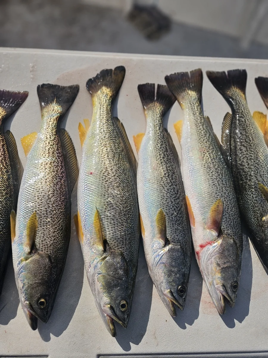 Fishing in Howard, New York