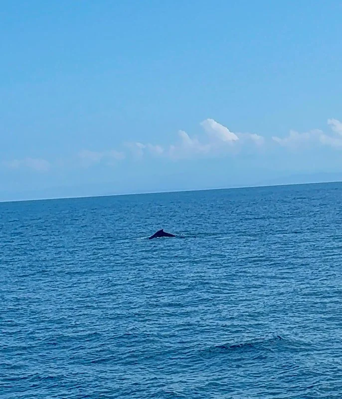 Fishing in Quepos, Costa Rica