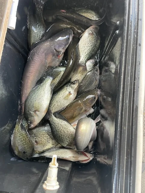 Fishing in Willis, Texas
