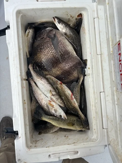 Fishing in New Orleans, Louisiana