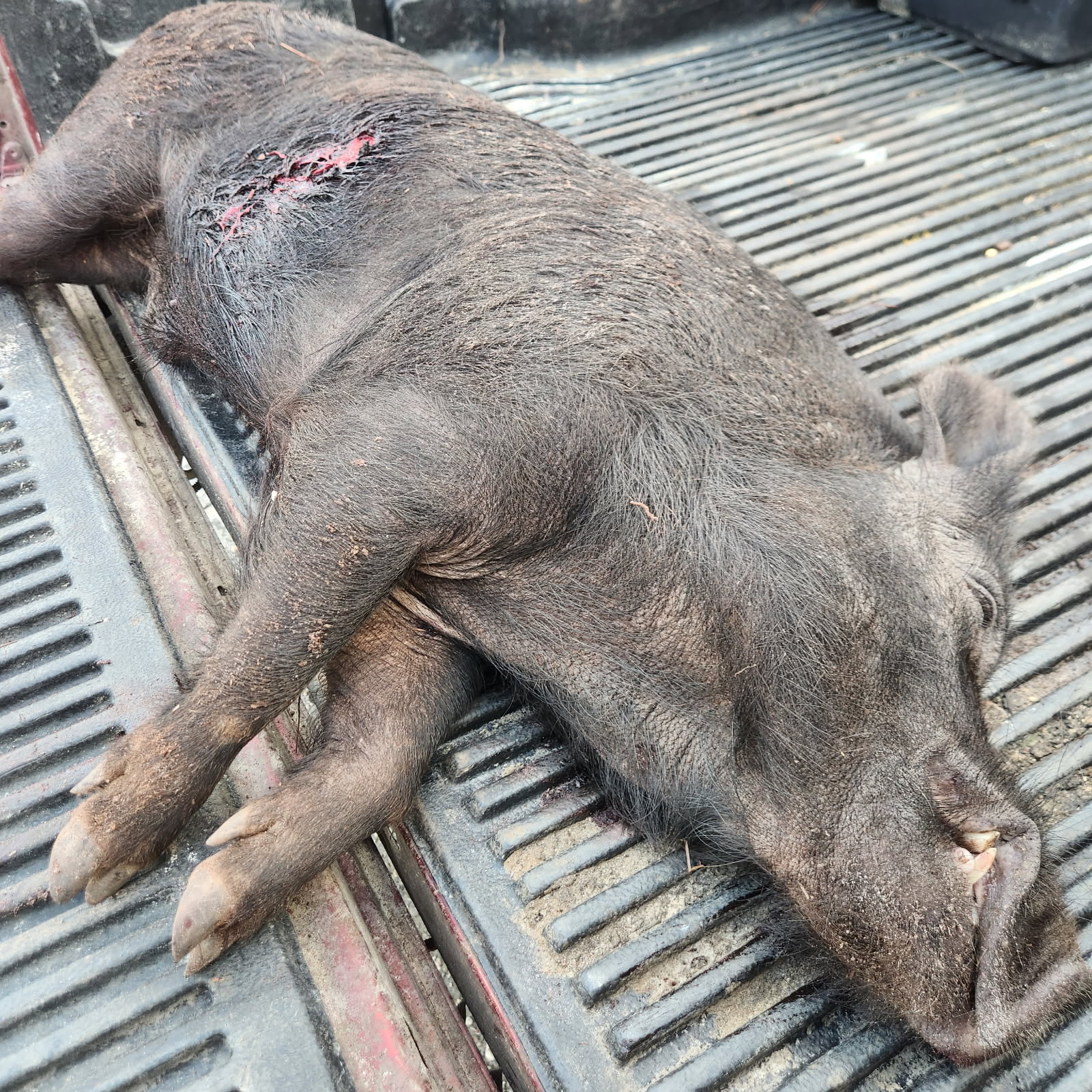Hunting in Crestview, Florida