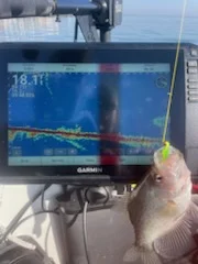 Fishing in Willis, Texas
