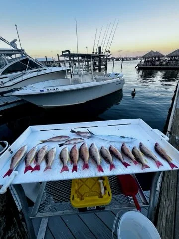 Fishing in Key West, Florida