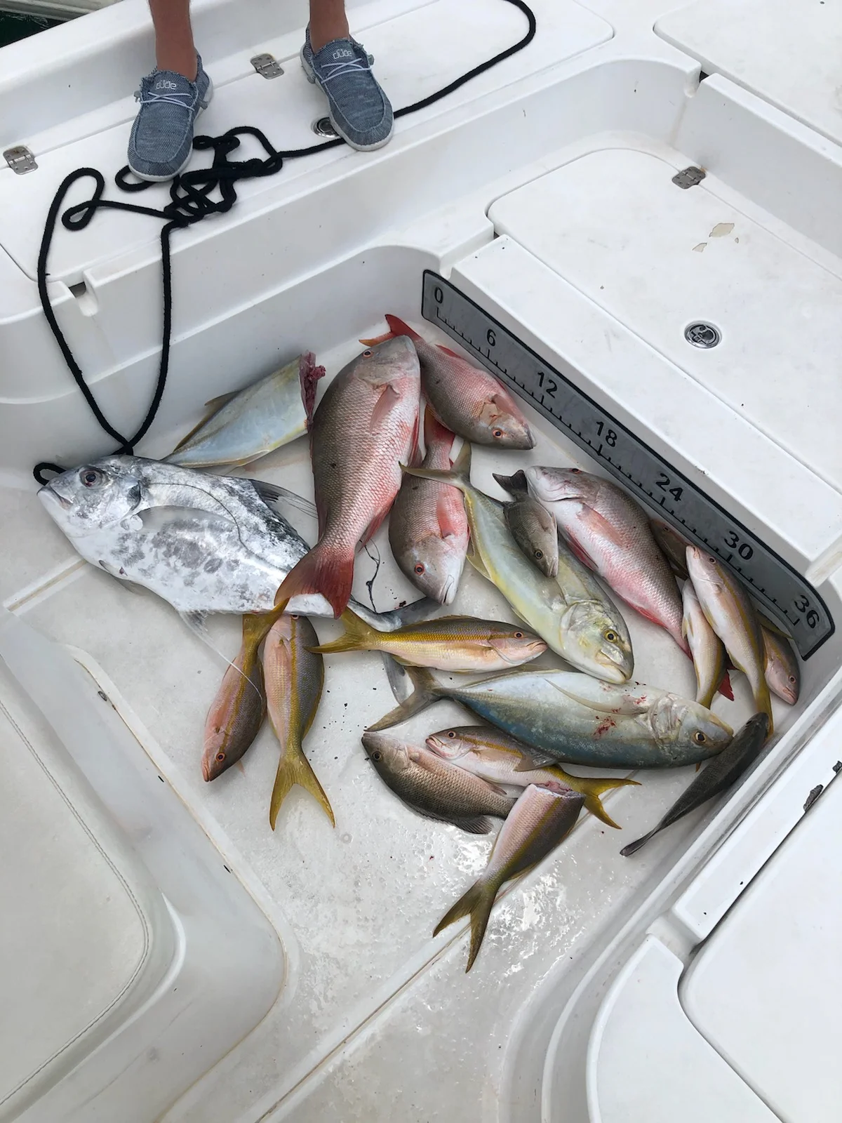 Tarpon fishing in Key West, Florida