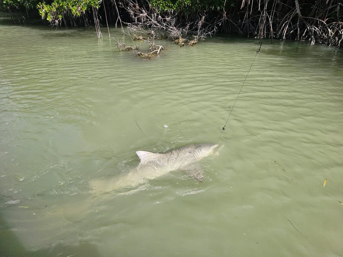 Fishing in Key Largo, Florida