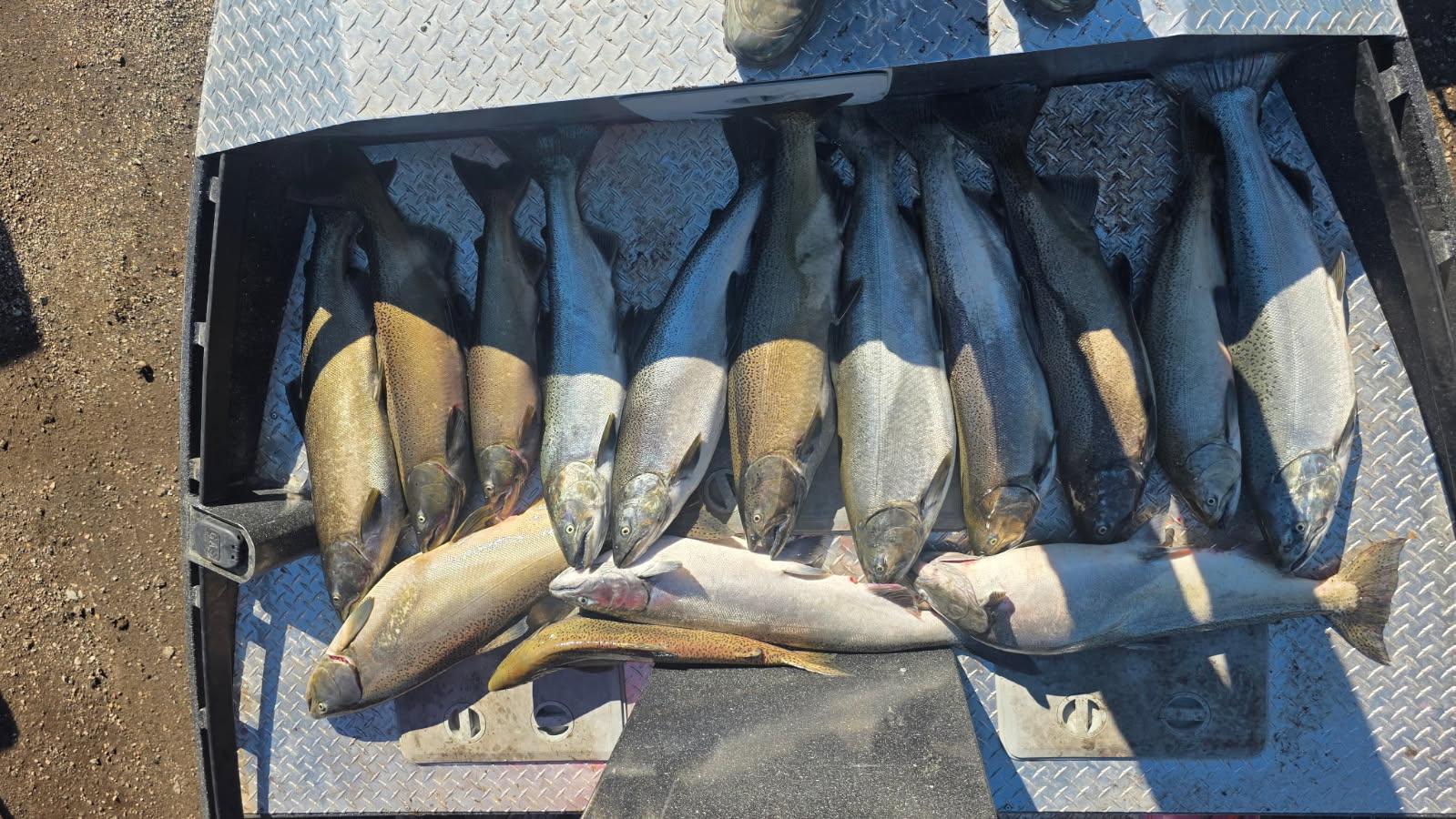 Fishing in Newaygo, Michigan