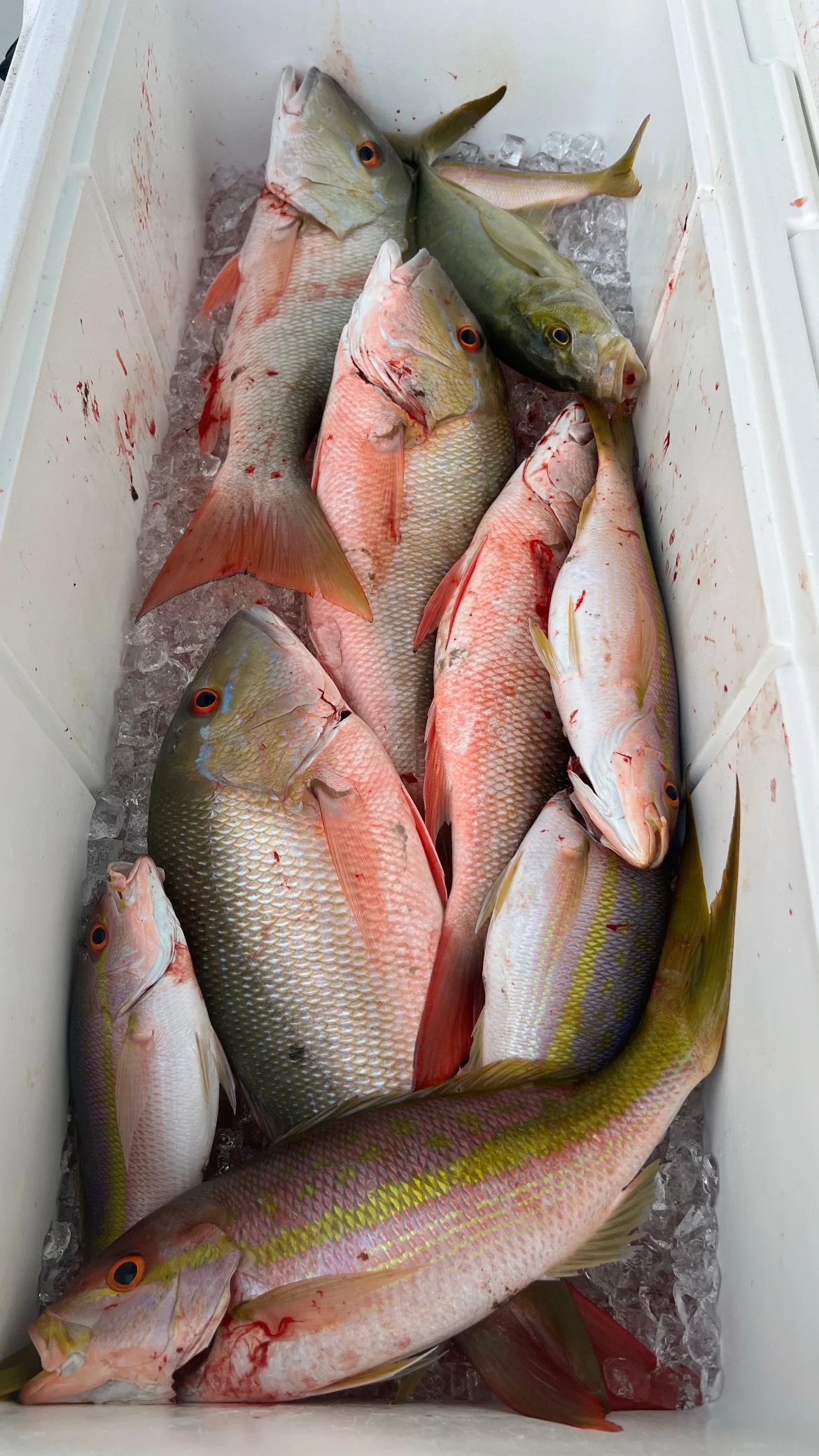 Fishing in Islamorada, Florida