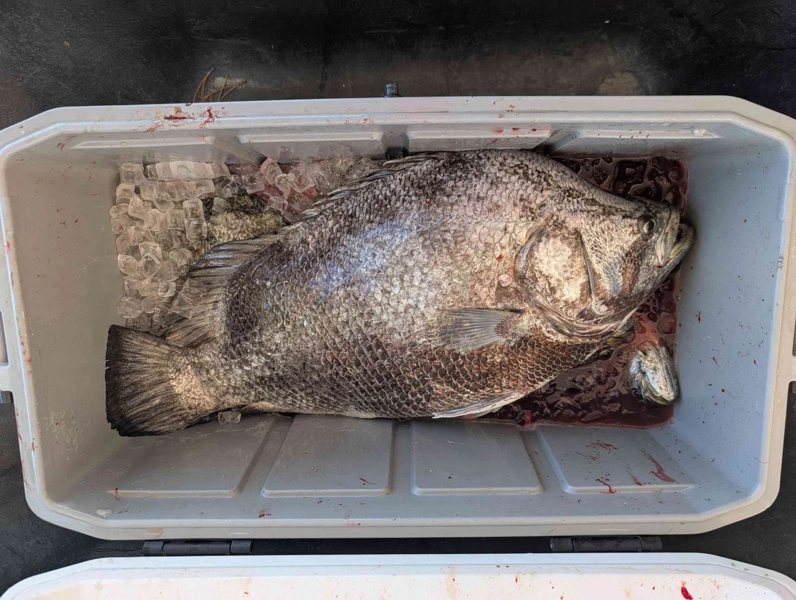 Fishing in Eastpoint, Florida