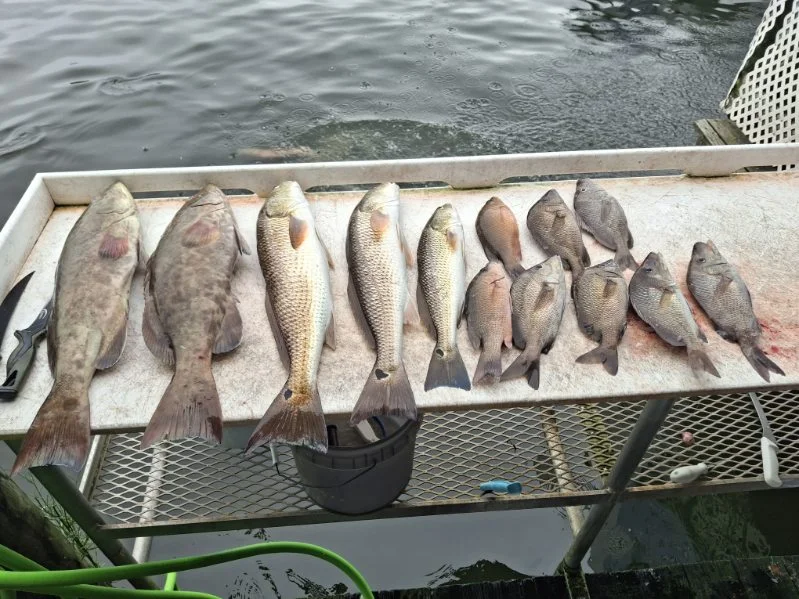 Fishing in Crystal River, Florida