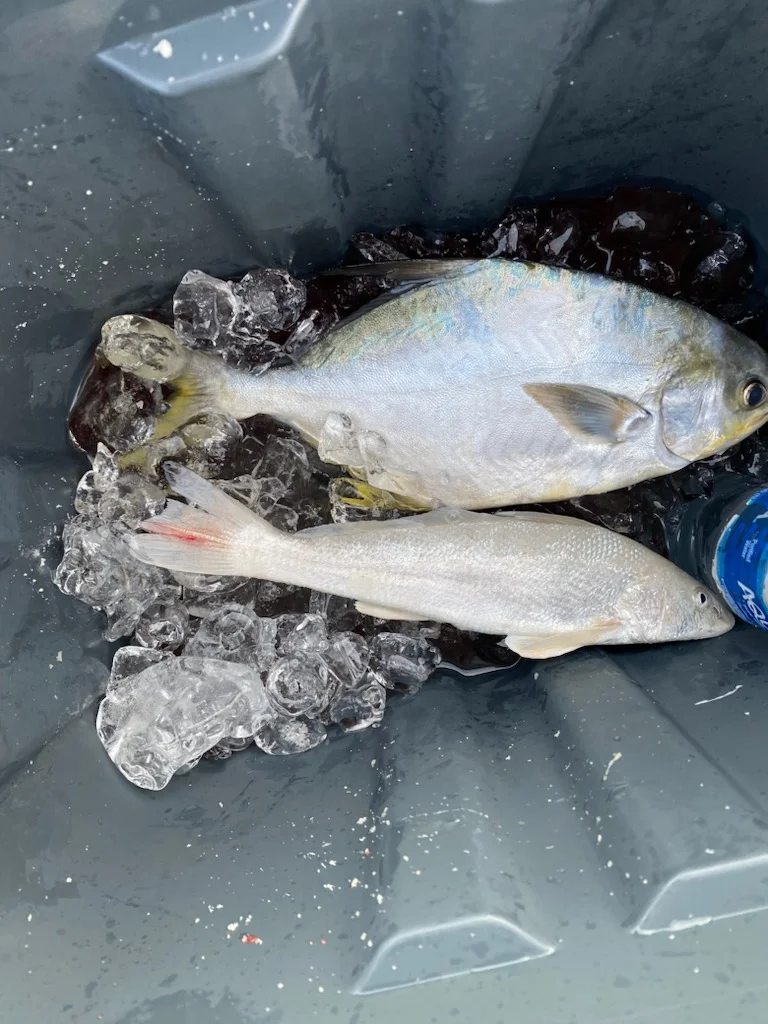 Fishing in Panama City Beach, Florida