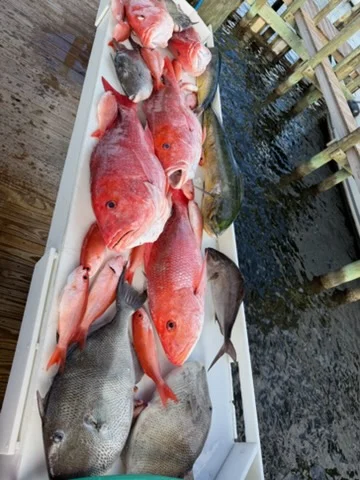 Fishing in Panama City, Florida