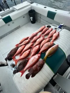 Fishing in New Smyrna Beach, Florida