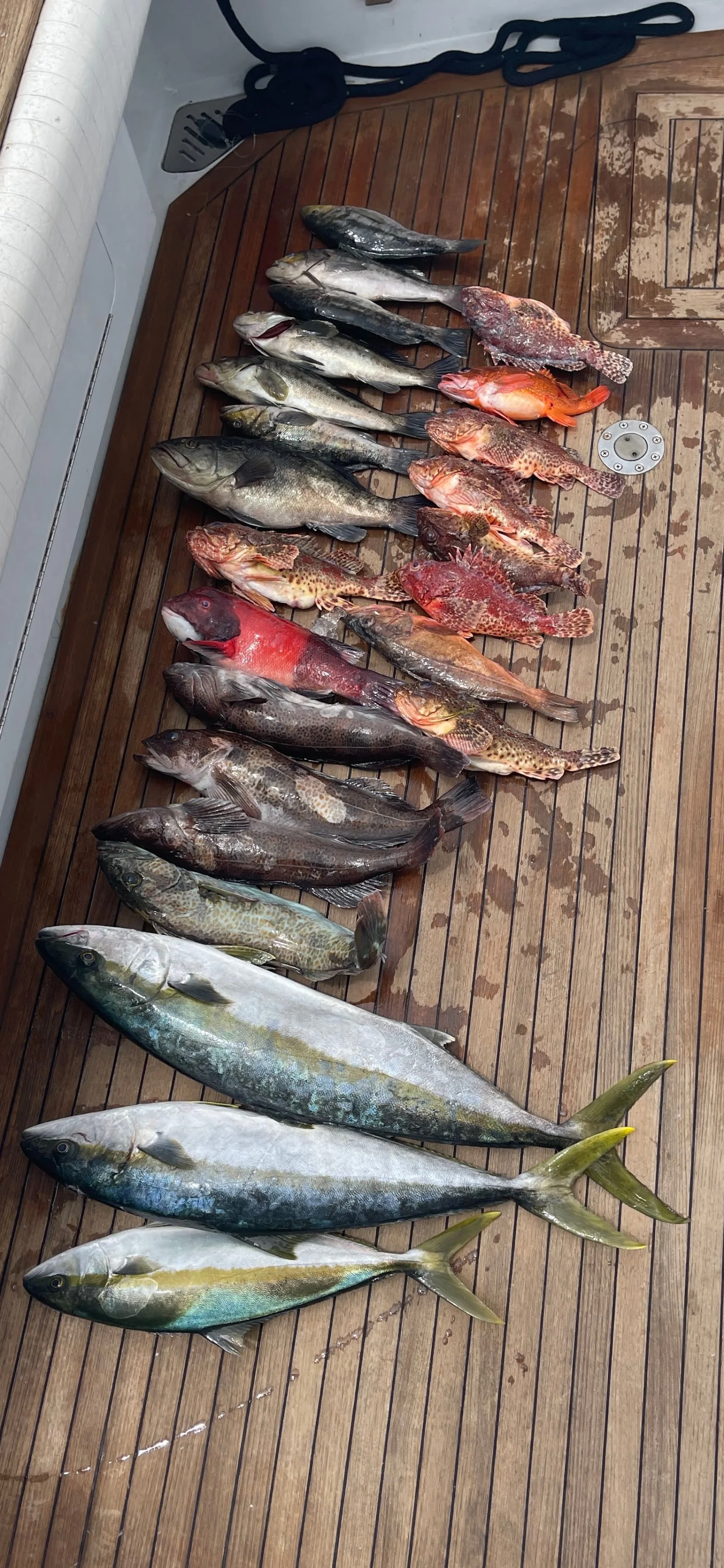 Fishing in San Diego, California