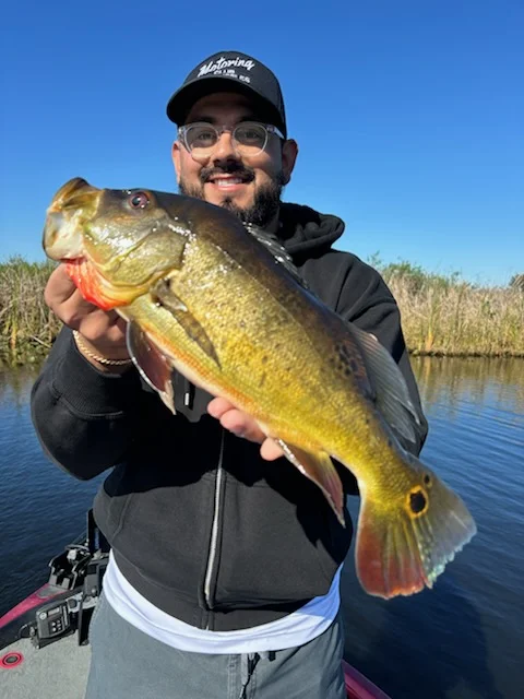 Fishing in Fort Lauderdale, Florida
