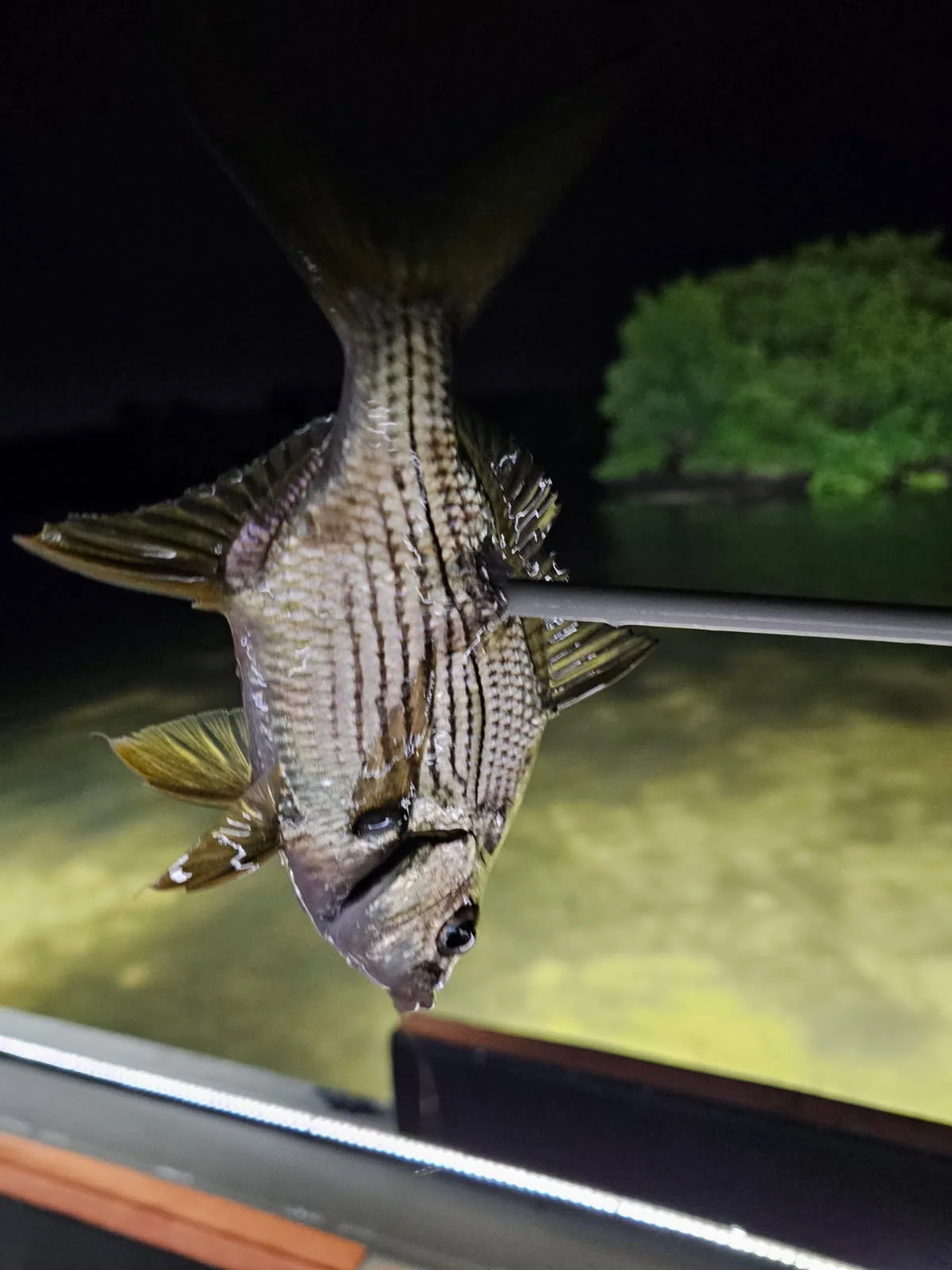 Fishing in Tampa, Florida