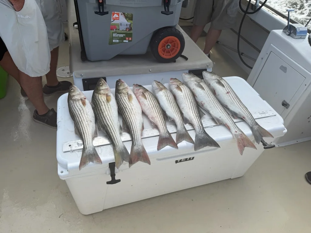 Fishing in Kent Narrows, Maryland