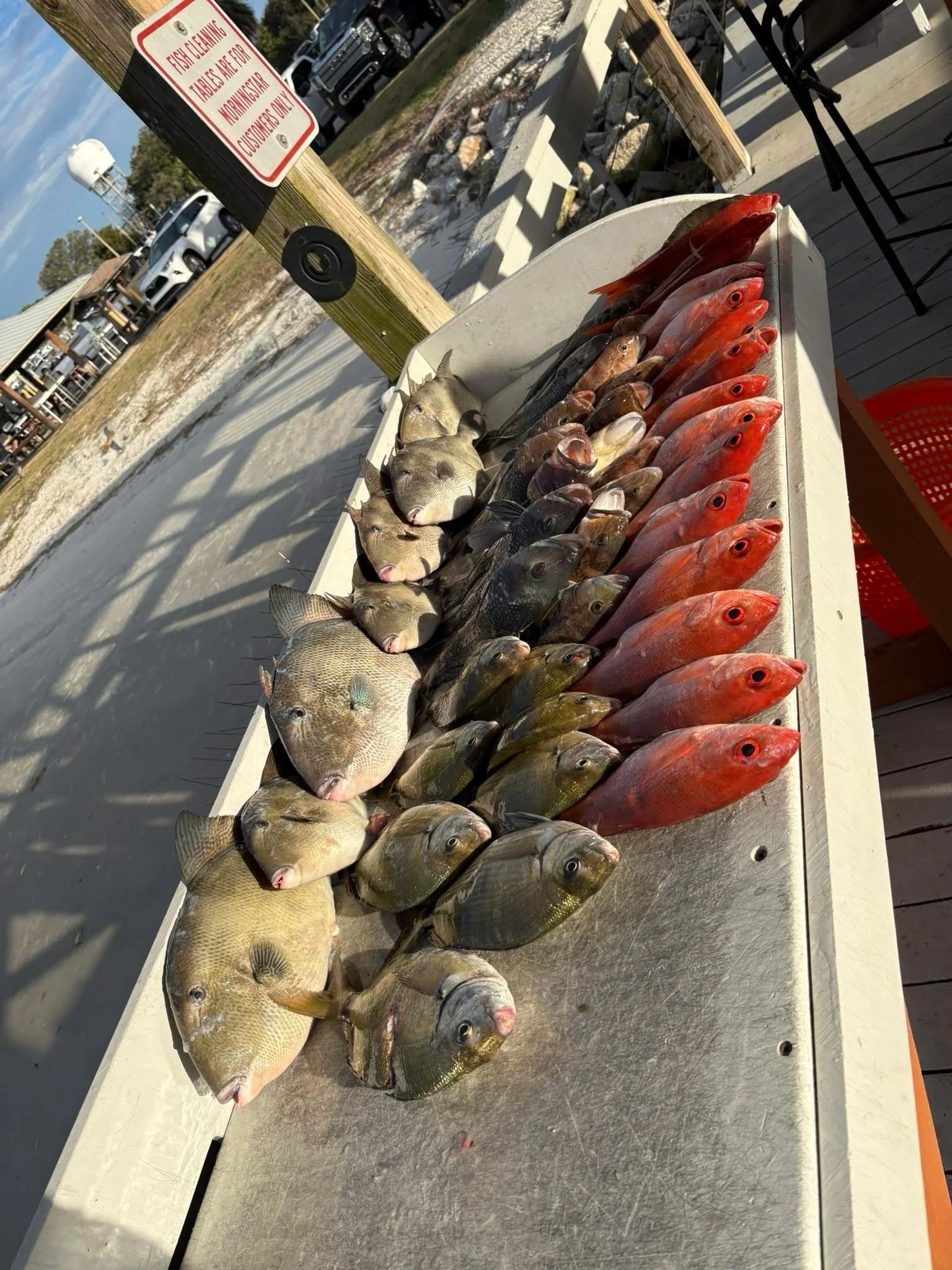 Fishing in Jacksonville, Florida