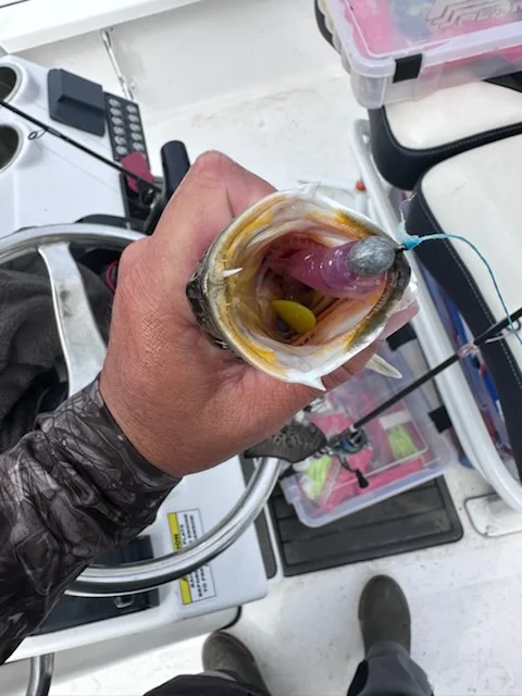 Fishing in Lake Charles, Louisiana
