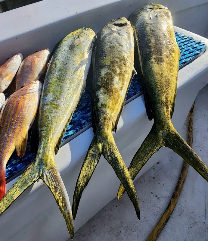 Fishing in Rockport, Texas