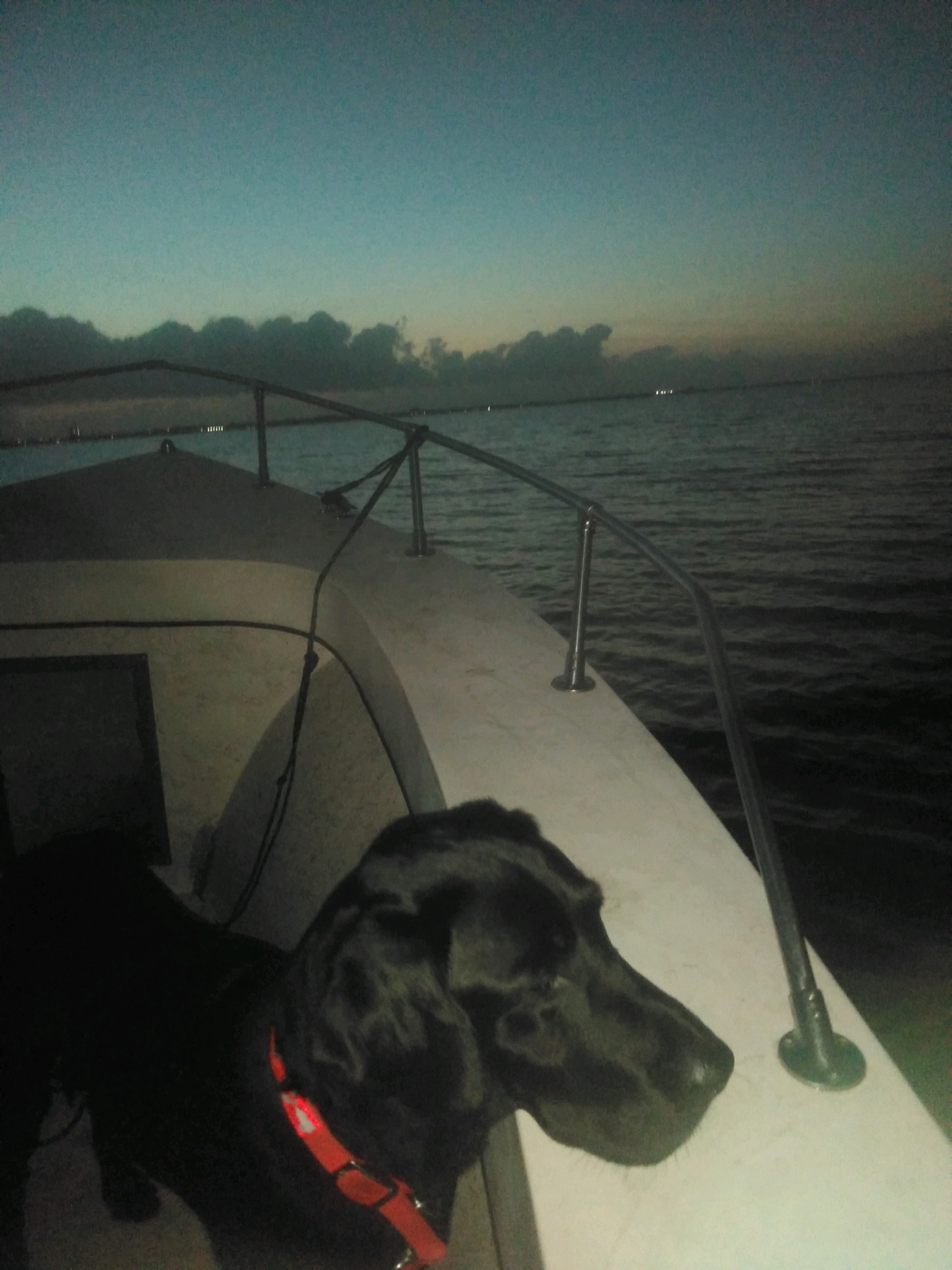 Fishing in Melbourne, Florida