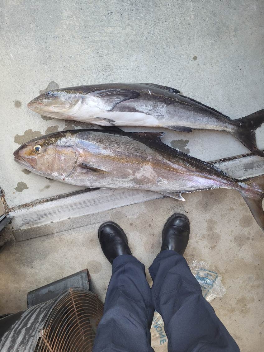 Fishing in Wrightsville Beach, North Carolina