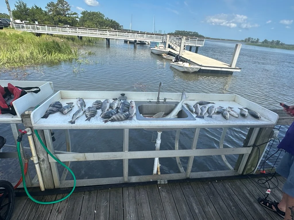 Fishing in Darien, Georgia