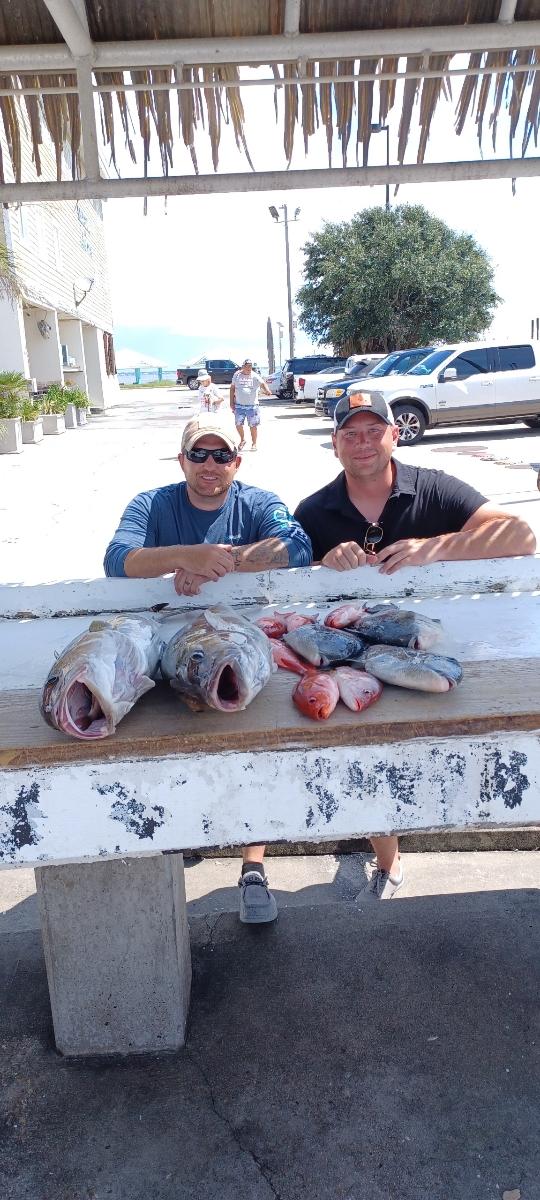 Red Snapper, Triggerfish fishing in Pensacola Beach, Florida