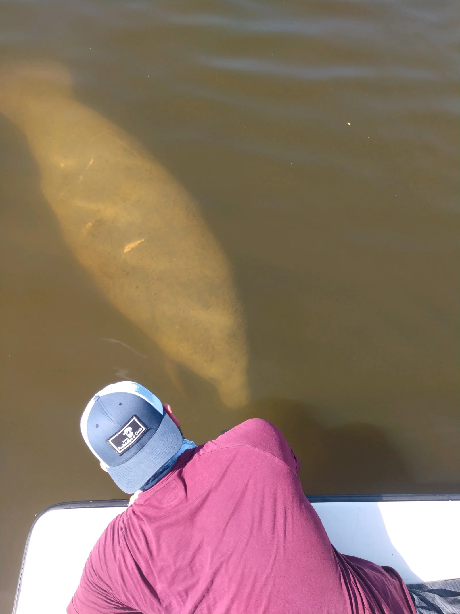 Fishing in Naples, Florida