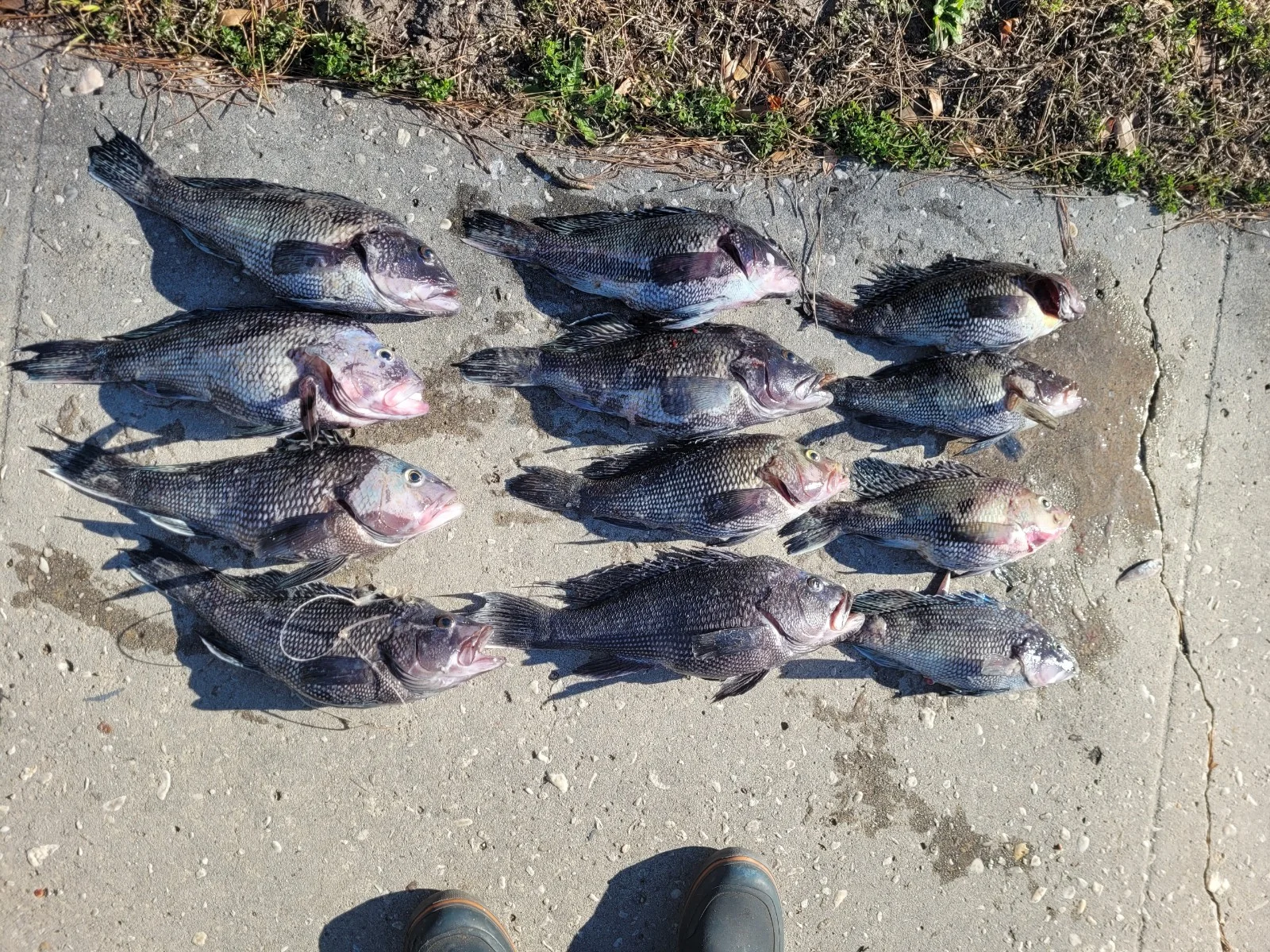 Fishing in Wilmington, North Carolina
