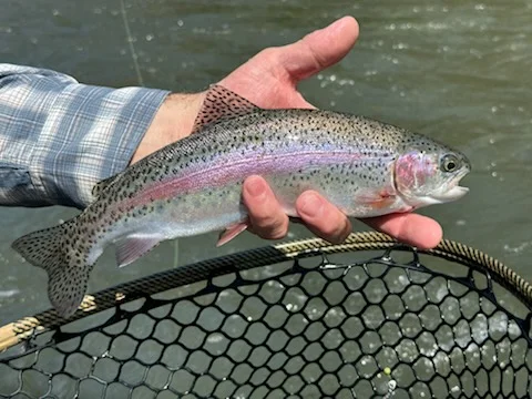 Fishing in Bend, Oregon
