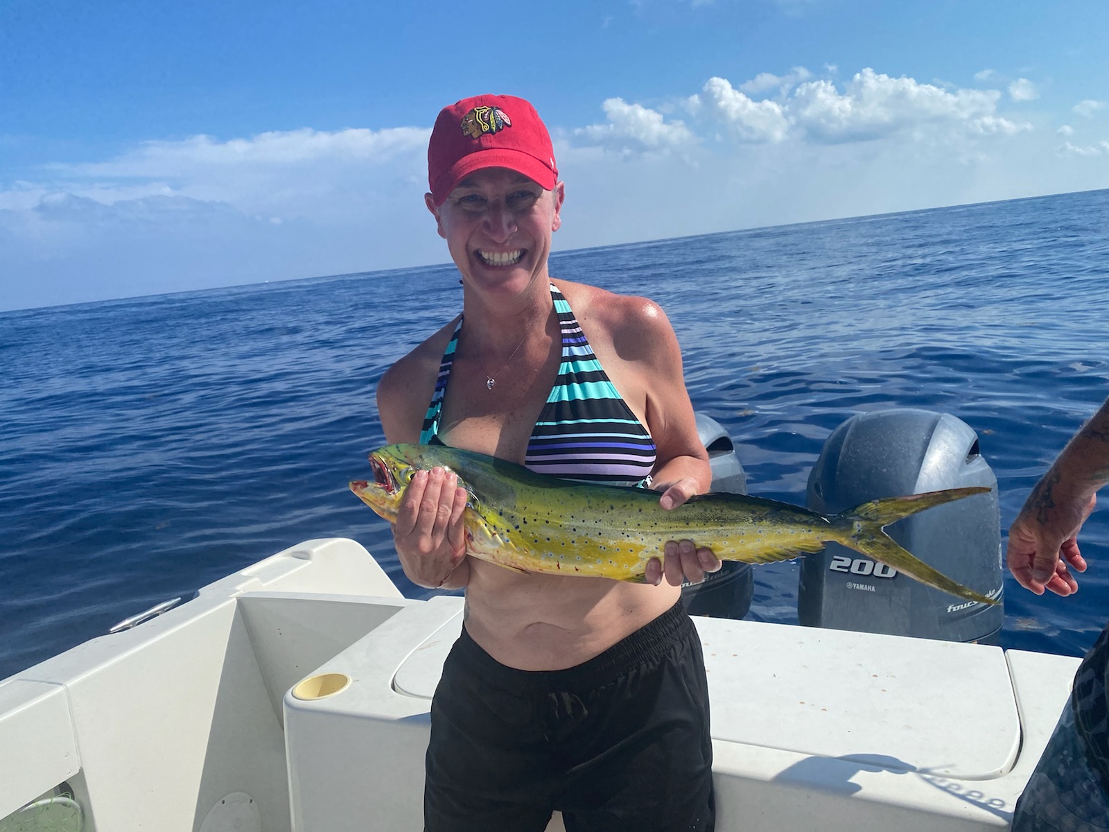 Cobia fishing in Marathon, Florida