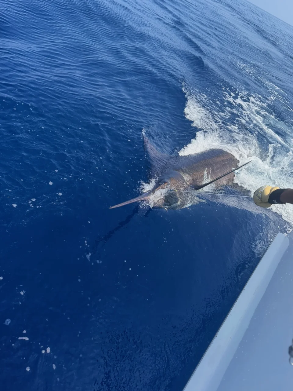 Fishing in Kaiminani, Hawaii