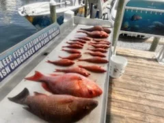 Fishing in Destin, Florida