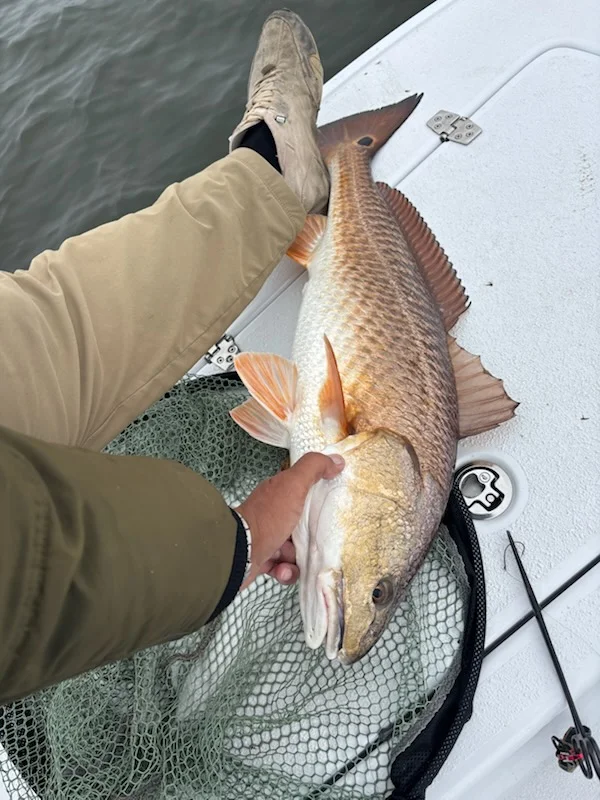 Fishing in New Orleans, Louisiana