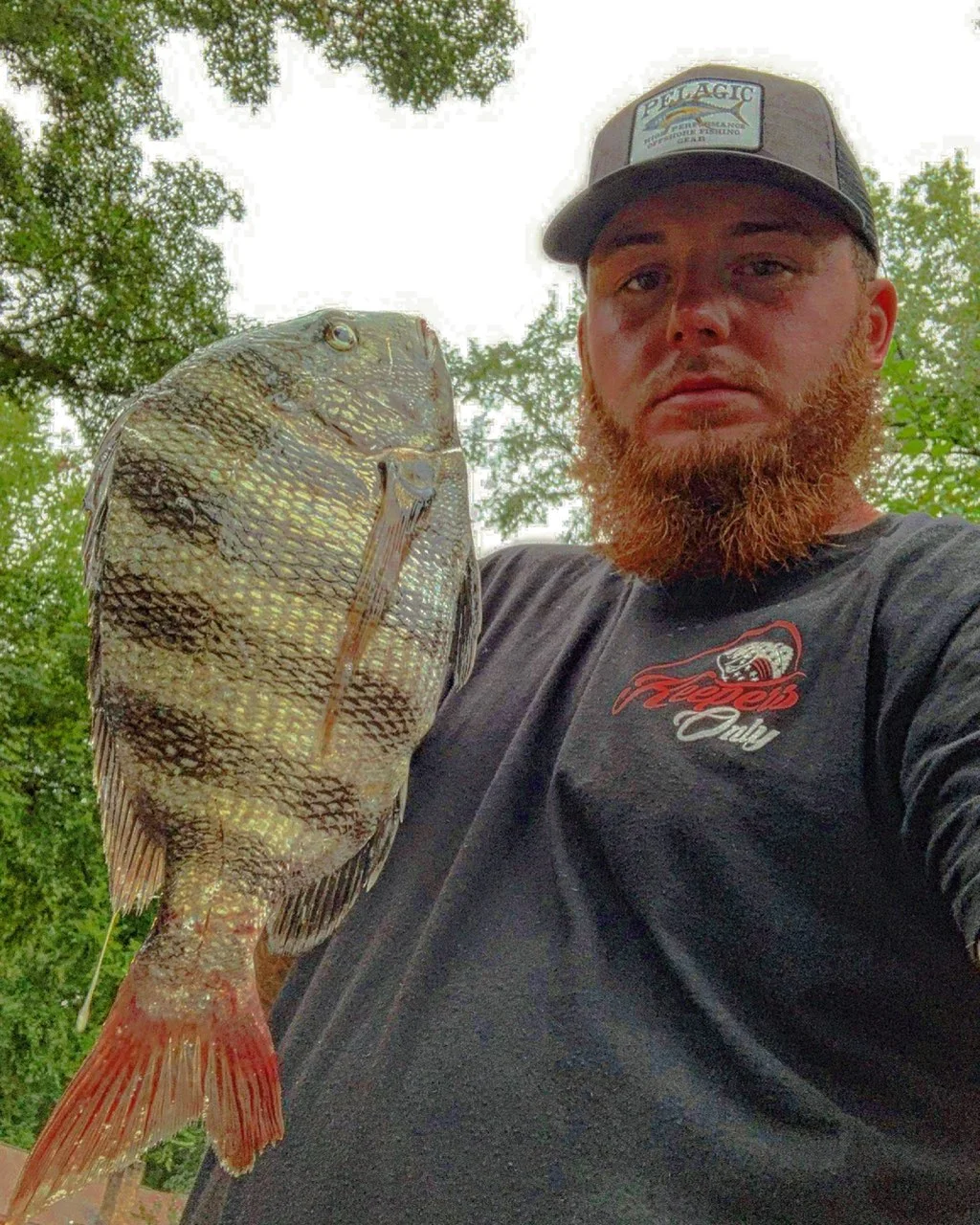 Sheepshead fishing in Johns Island, South Carolina