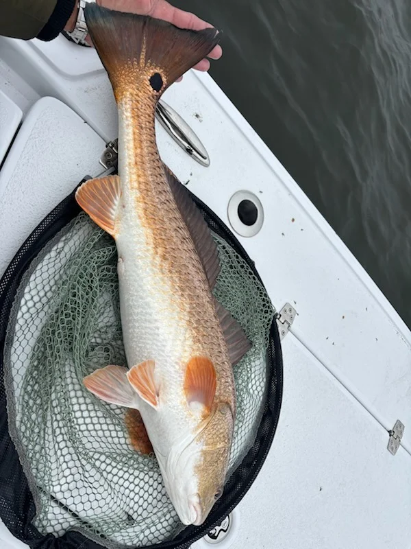 Fishing in New Orleans, Louisiana