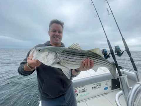 Little Tunny / False Albacore fishing in Chatham, Massachusetts