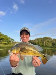 Fishing in Gurabo, Puerto Rico