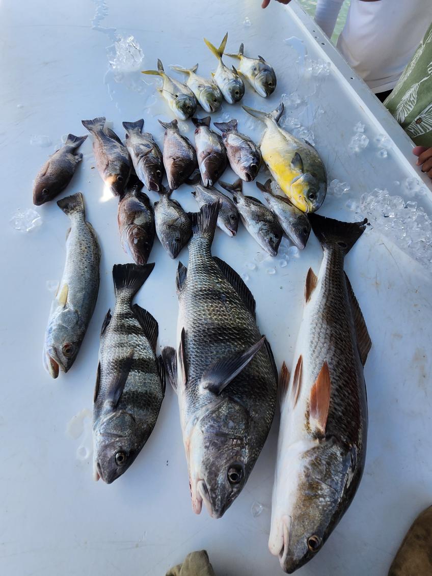 Fishing in Fort Myers Beach, Florida