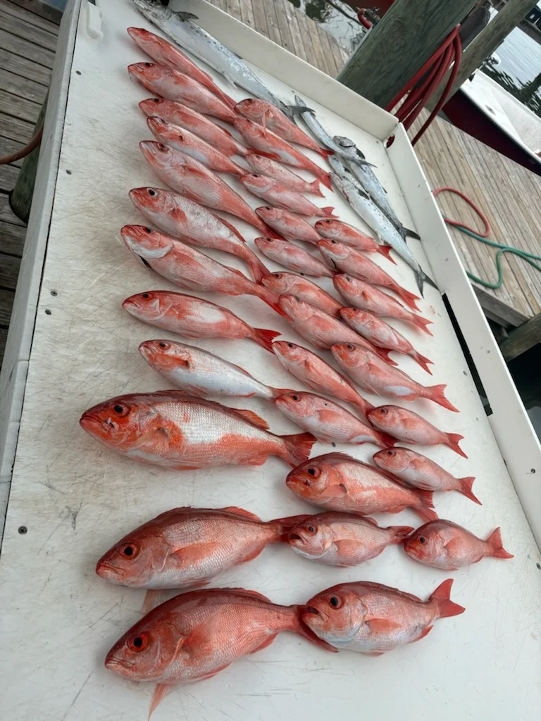 Fishing in Gulf Shores, Alabama