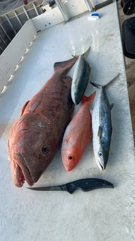 Fishing in Key West, Florida