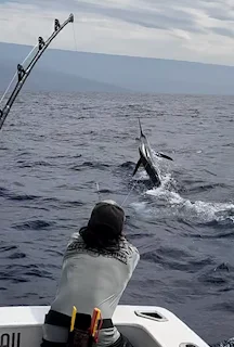 Fishing in Kailua-Kona, Hawaii