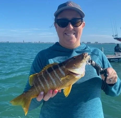 Triggerfish Fishing in Sarasota, Florida
