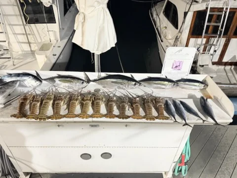 Fishing in Key West, Florida