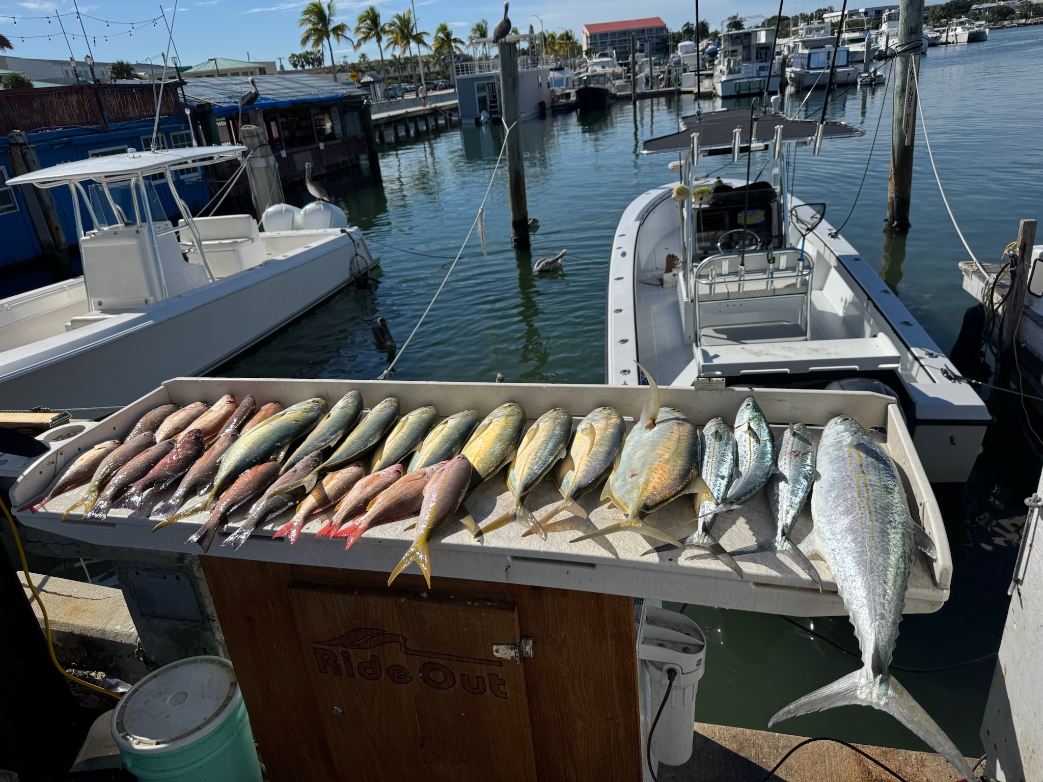 Fishing in Key West, Florida
