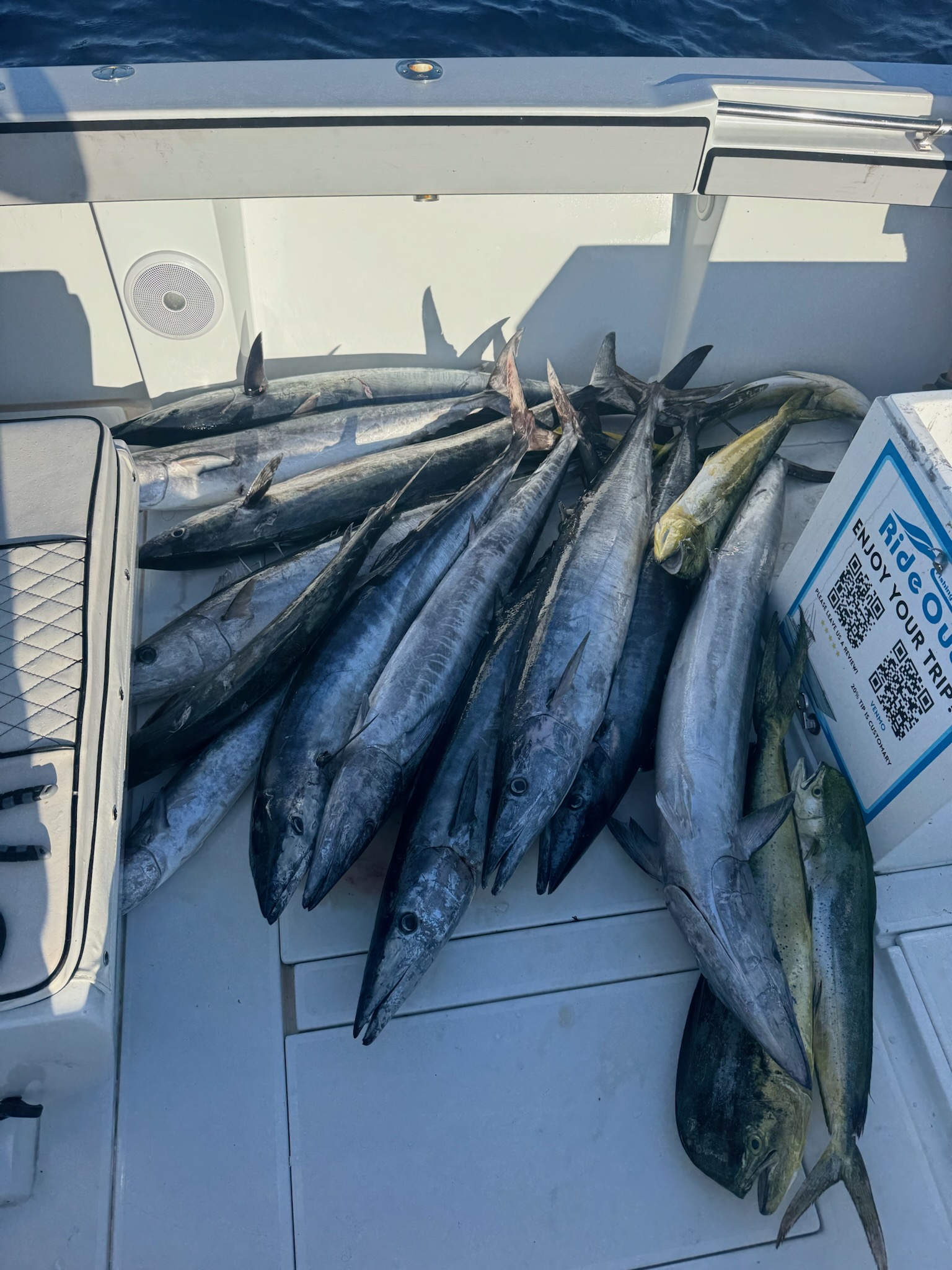 Fishing in Key West, Florida