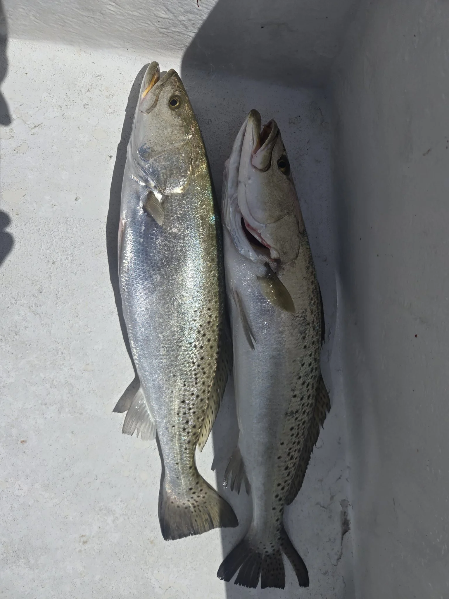 Fishing in Fort Walton Beach, Florida