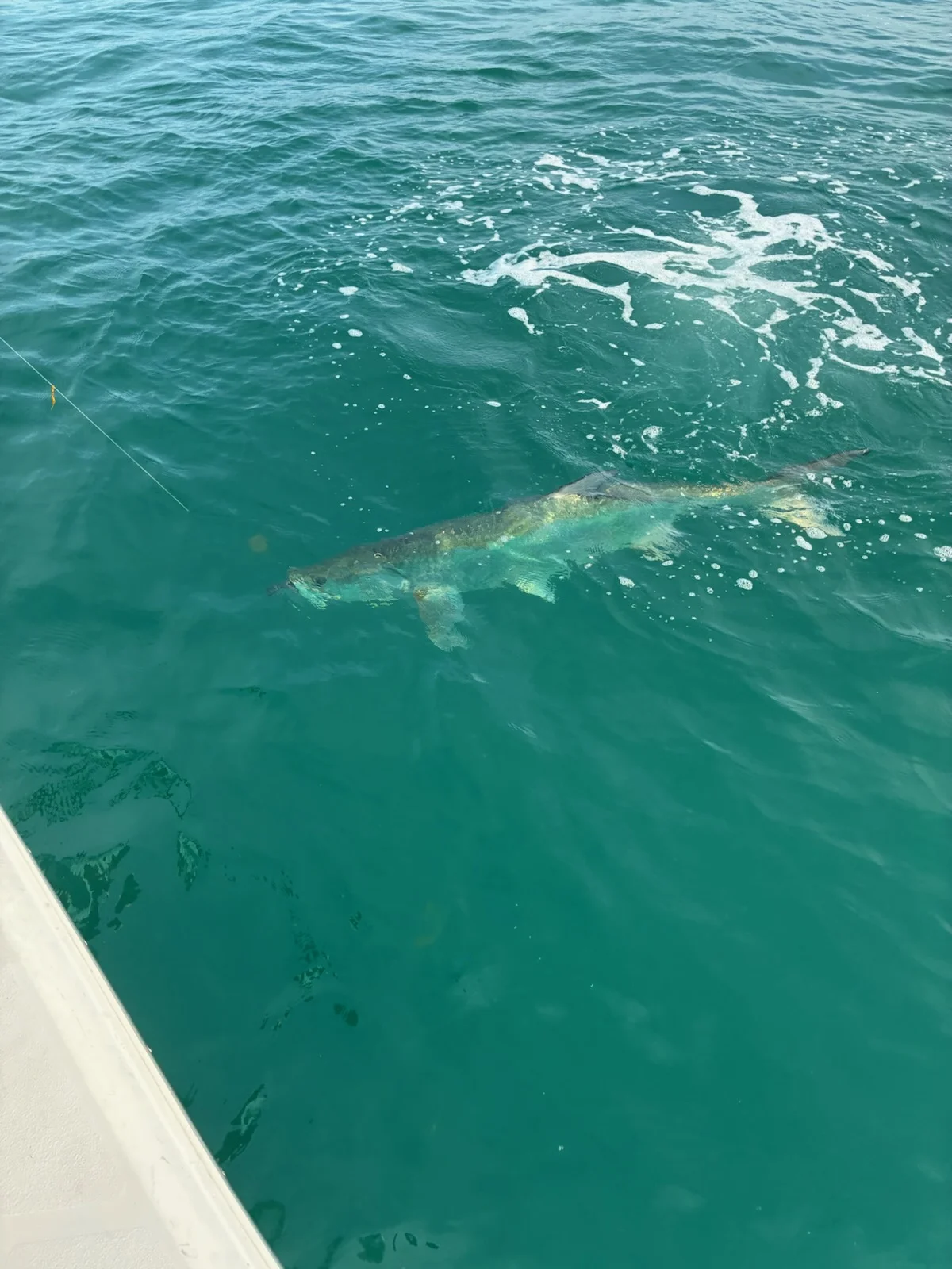 Fishing in Port Charlotte, Florida